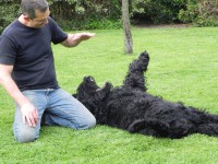 /album/fotogalerij-fotogalerij-3/dscn5912-jpg1/