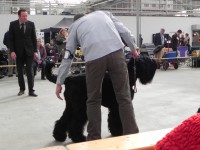 /album/fotogalerij-fotogalerij-3/dscn0417-jpg/