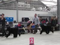 /album/fotogalerij-fotogalerij-3/dscn0426-jpg/