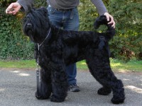 /album/fotogalerij-fotogalerij-3/dscn0544-jpg/