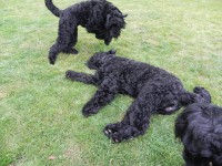 /album/fotogalerij-fotogalerij-3/dscn0759-jpg/