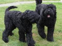 /album/fotogalerij-fotogalerij-3/dscn0762-jpg/