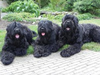 /album/fotogalerij-fotogalerij-3/dscn0779-jpg/