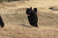 /album/fotogalerij-fotogalerij-3/img-9556-jpg/