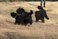 /album/fotogalerij-fotogalerij-3/img-9621-jpg/