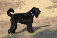 /album/fotogalerij-fotogalerij-3/img-9636-jpg/