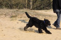 /album/fotogalerij-fotogalerij-3/img-9668-jpg/