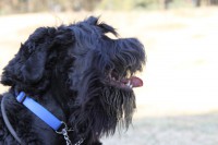 /album/fotogalerij-fotogalerij-3/img-9700-jpg/