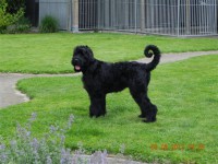 /album/fotogalerij-roosje/dscn3187-jpg/