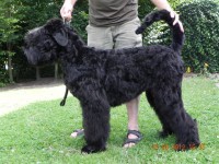 /album/fotogalerij-roosje/dscn3212-jpg/