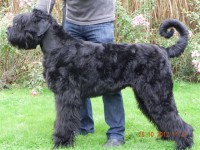 /album/fotogalerij-roosje/dscn3390-jpg/