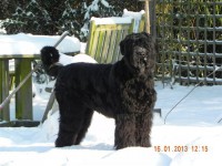 /album/fotogalerij-roosje/dscn3507-jpg1/