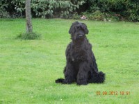 /album/fotogalerij-roosje/dscn3235-jpg/