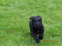 /album/fotogalerij-roosje/dscn2570-jpg/