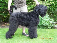 /album/fotogalerij-fotogalerij-3/dscn2973-jpg/