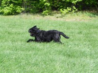 /album/fotogalerij-fotogalerij-3/dscn3990-jpg/