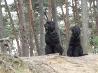 /album/fotogalerij-fotogalerij-3/dscn4044-jpg/