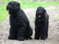 /album/fotogalerij-fotogalerij-3/dscn4061-jpg/