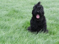 /album/fotogalerij-roosje/dscn4105-jpg/