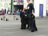 /album/fotogalerij-roosje/dscn4996-jpg/