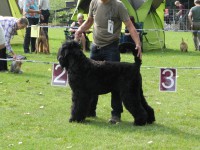 /album/fotogalerij-roosje/dscn6091-jpg/