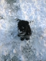 /album/fotogalerij-nina/a0-jpg-213-jpg/