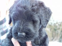 /album/fotogalerij-nina/dscn7254-jpg/