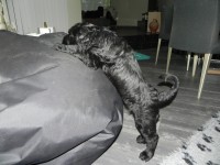 /album/fotogalerij-nina/dscn7456-jpg/