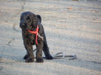 /album/fotogalerij-nina/dscn7493-jpg/