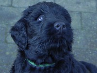 /album/fotogalerij-nina/dscn7695-jpg/