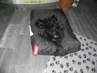 /album/fotogalerij-nina/dscn8518-jpg/