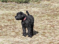 /album/fotogalerij-nina/dscn8749-jpg/