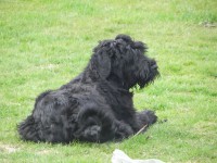 /album/fotogalerij-nina/dscn8683-jpg/