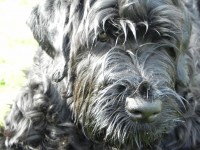 /album/fotogalerij-nina/dscn8802-jpg/