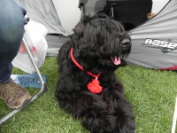 /album/fotogalerij-nina/dscn9695-jpg/