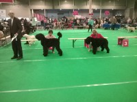 /album/fotogalerij-nina/a0-32-jpg/