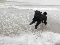 /album/fotogalerij-nina/dscn0180-jpg/