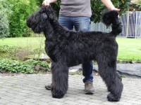 /album/fotogalerij-nina/dscn0032-jpg/