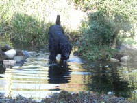 /album/fotogalerij-nero/dscn8725-jpg/