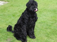 /album/fotogalerij-nero/dscn9156-jpg/