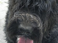 /album/fotogalerij-nero/dscn9583-jpg/