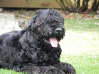 /album/fotogalerij-nero/dscn9639-jpg/