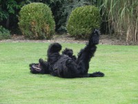 /album/fotogalerij-nero/dscn9736-jpg/