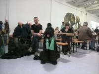 /album/fotogalerij-nero/a0-100-jpg/