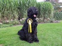 /album/fotogalerij-nero/dscn0049-jpg/