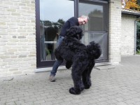 /album/fotogalerij-nero/dscn0094-jpg/